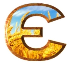 G:\59246.jpg